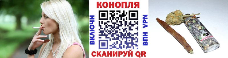 Бошки Шишки план  Купить где  Дзержинск 